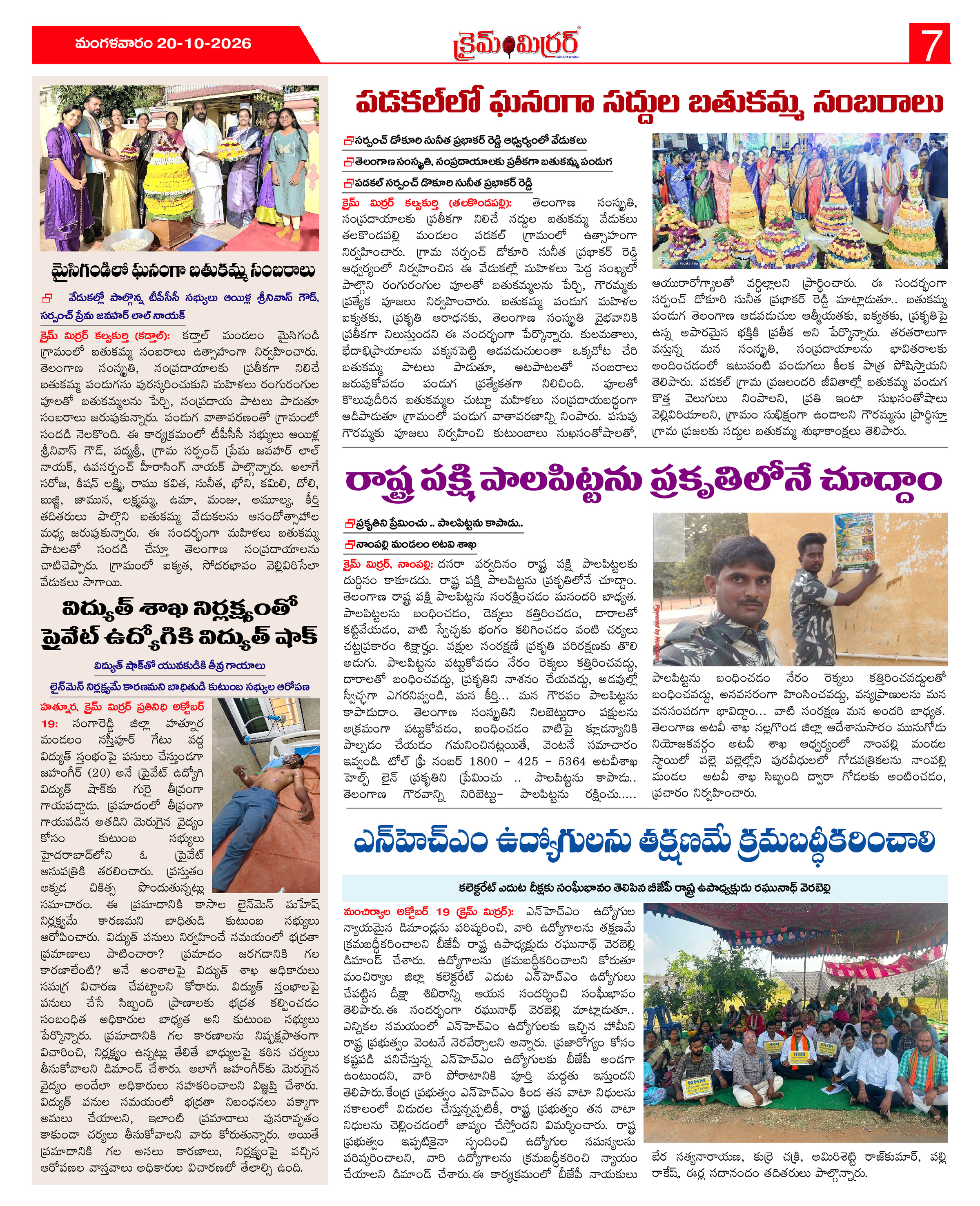 Page 7 thumbnail